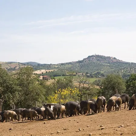 Agroturismo Boschetto Di