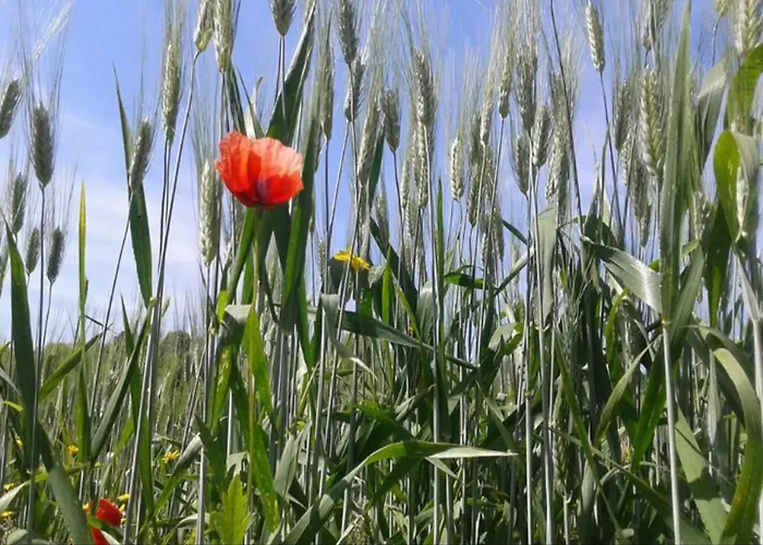 Séjour à la ferme Boschetto Di