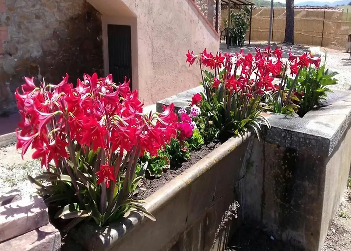 Boschetto Di * Montiano (Tuscany)