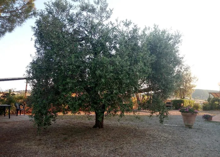 Boschetto Di Séjour à la ferme Montiano (Tuscany)